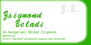 zsigmond beladi business card