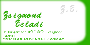 zsigmond beladi business card